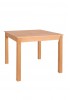 Gisele Wooden Dining Table Square W100